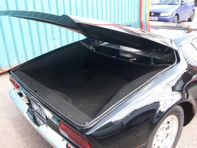 Pantera  (nearly done) 024.jpg