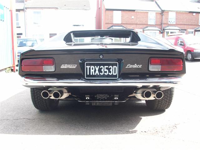 Pantera  (nearly done) 018.jpg