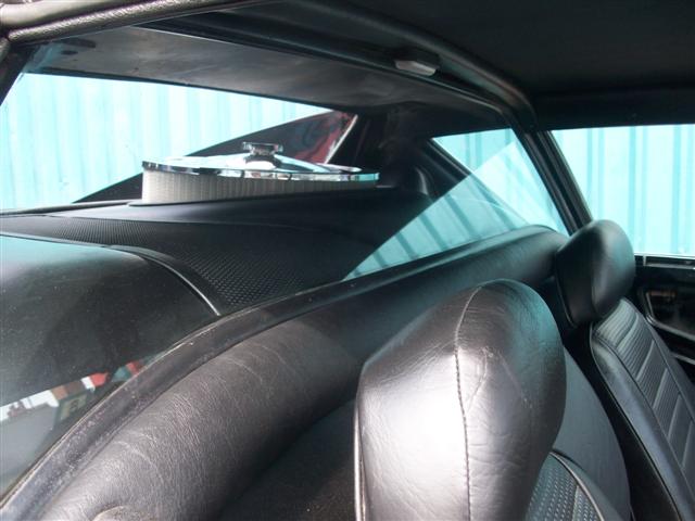 Pantera  (nearly done) 028.jpg