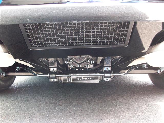 Pantera  (nearly done) 019.jpg