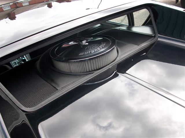 Pantera  (nearly done) 012.jpg