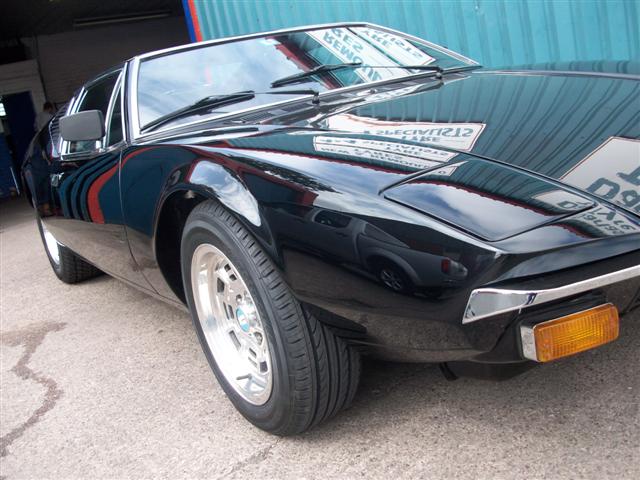 Pantera  (nearly done) 009.jpg