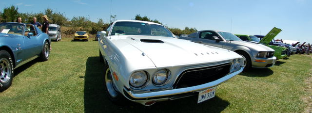 DSC_0087a.jpg