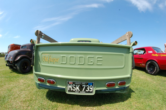 DSC_0052a.jpg