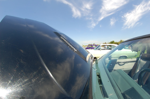 DSC_0056a.jpg