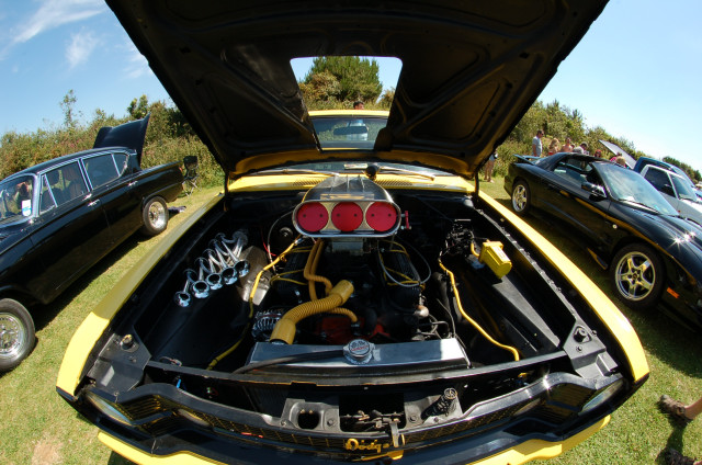 DSC_0059a.jpg