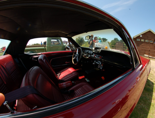 DSC_0054a.jpg
