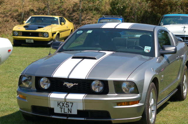 DSC_0090a.jpg