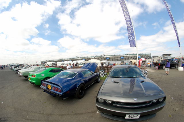 DSC_0082.jpg