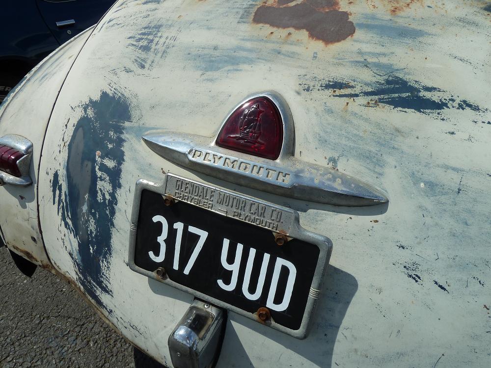 P1010729s.JPG