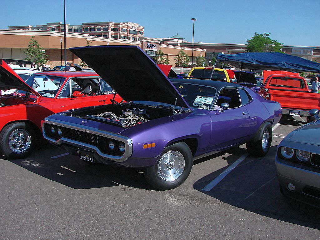 DSC06956Purple runner.jpg