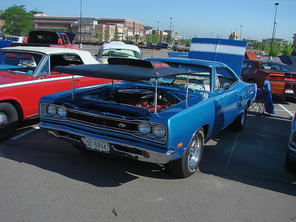 DSC06960Blue bee.jpg