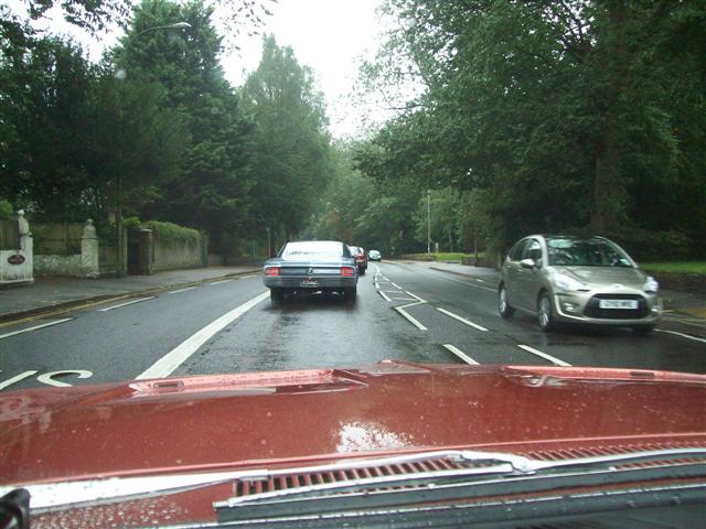 Copy of 103_4231 (Small).JPG