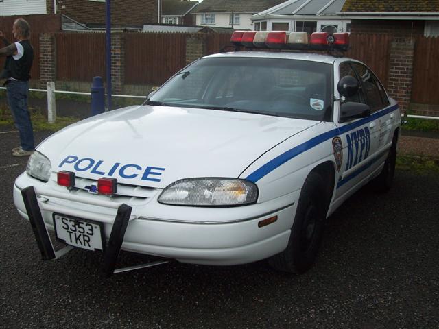 Copy of 103_4269 (Small).JPG