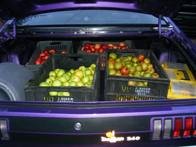 Apples 001 (Small).jpg