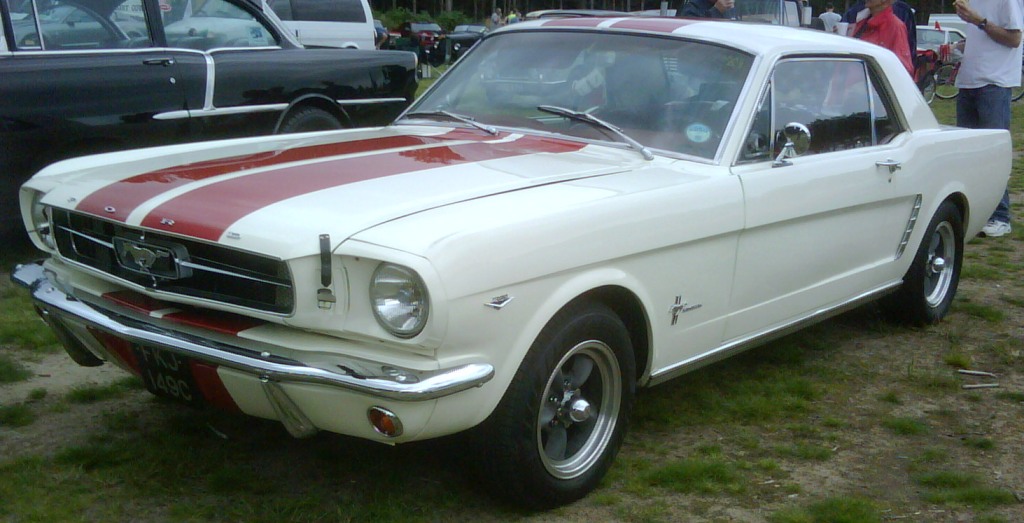 IMG01483-20110911-1410.jpg