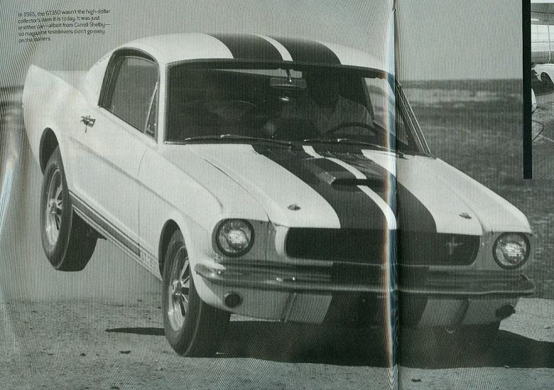 beststang.jpg