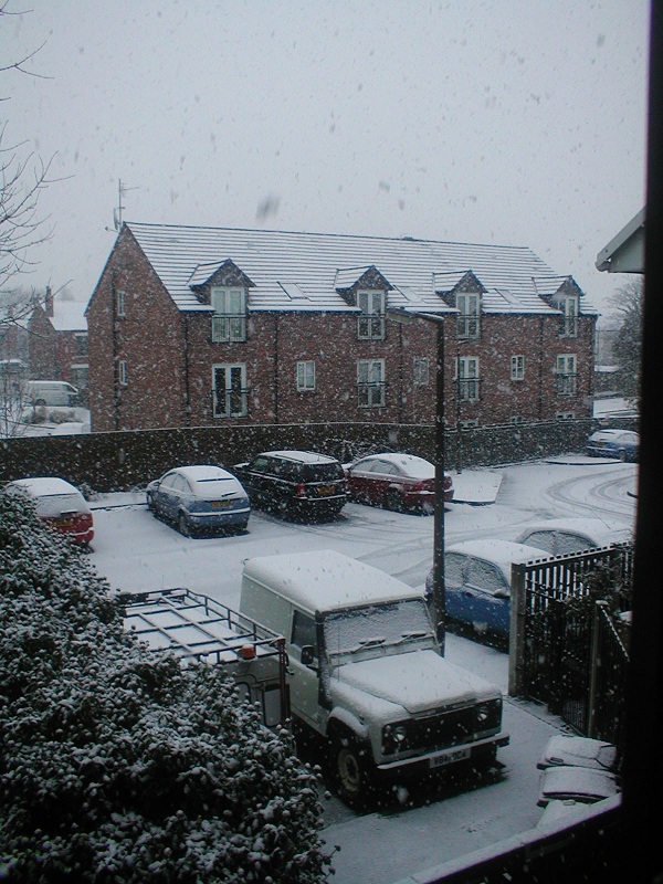 snow2011 (19)small.jpg