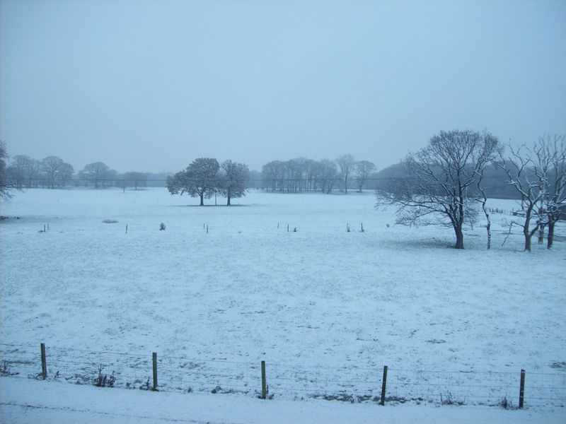 100_6975.JPG