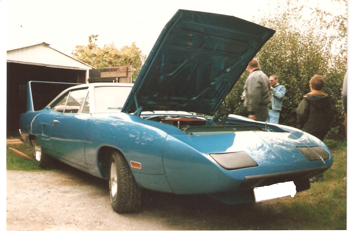 superbird 001.jpg
