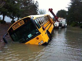 bus.jpg