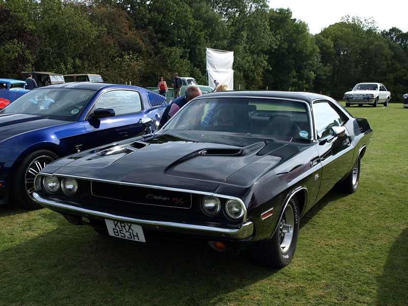 P9256839 800.jpg