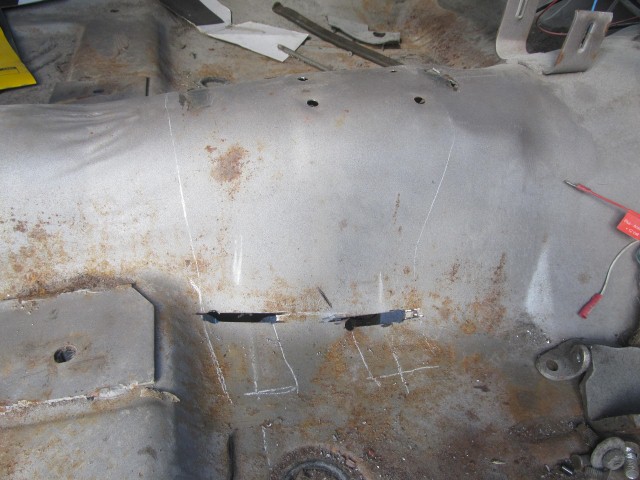 cuda 016 (Small).JPG