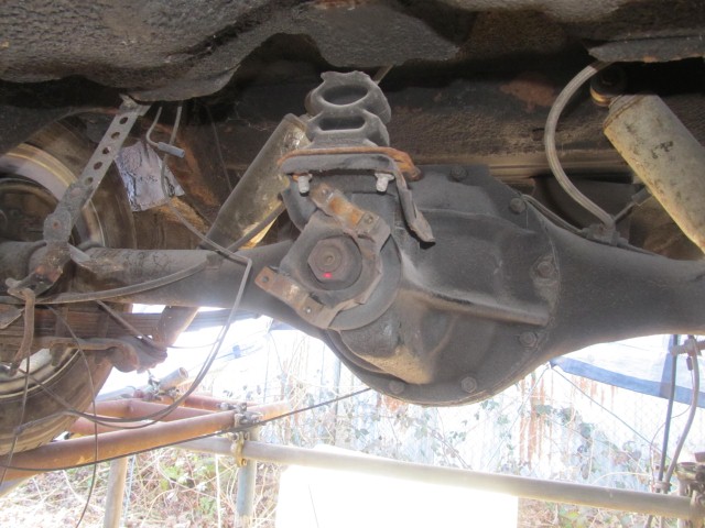 cuda 010 (Small).JPG