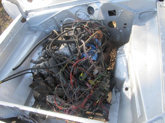 cuda_011_small_155.jpg