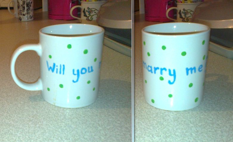 Will you marry me..JPG