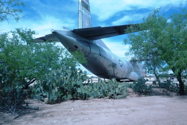 259.JPG