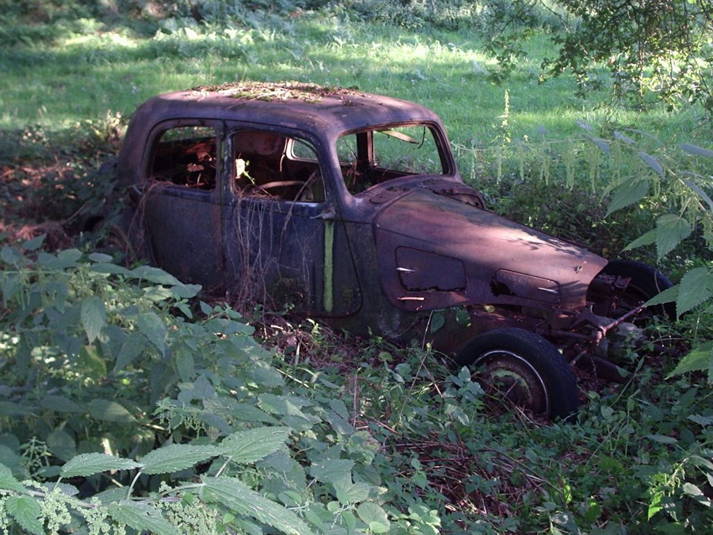2006.July. Potential....jpg