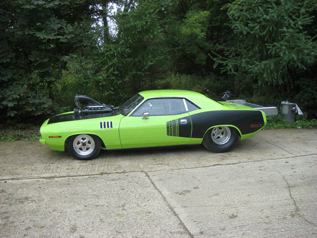 Cuda-%20Paint%205-10th%20Sept'08-b.gif