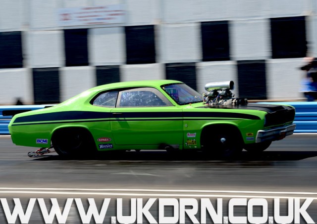 Lime Green Blown Mope - Avon Park-May'12.jpg