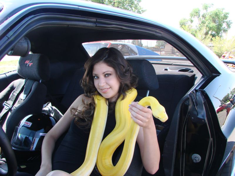 DSC08020snake 1.jpg
