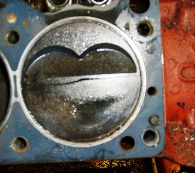 S6304231.JPG