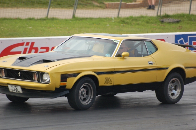 DSC_0089 (640x424).jpg