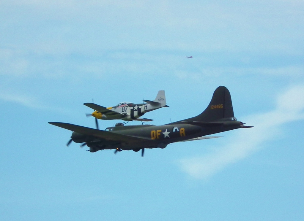 MUSTANG AND SALLY B.jpg