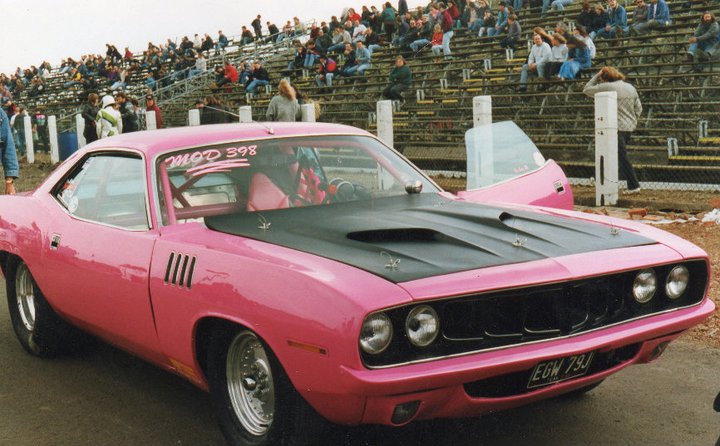 pink_cuda_226[1].jpg