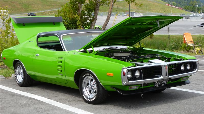 72 Charger in Sassy Grass