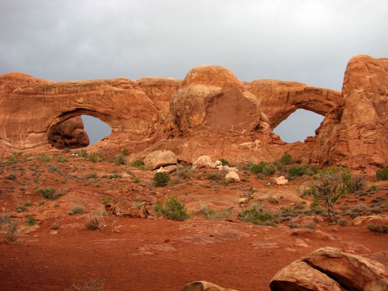 Cisco   Moab 254.jpg