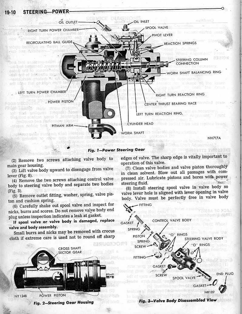 steer02.jpg