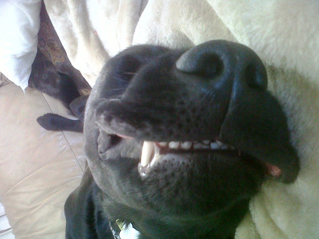 IMG00185-20120616-1323.jpg