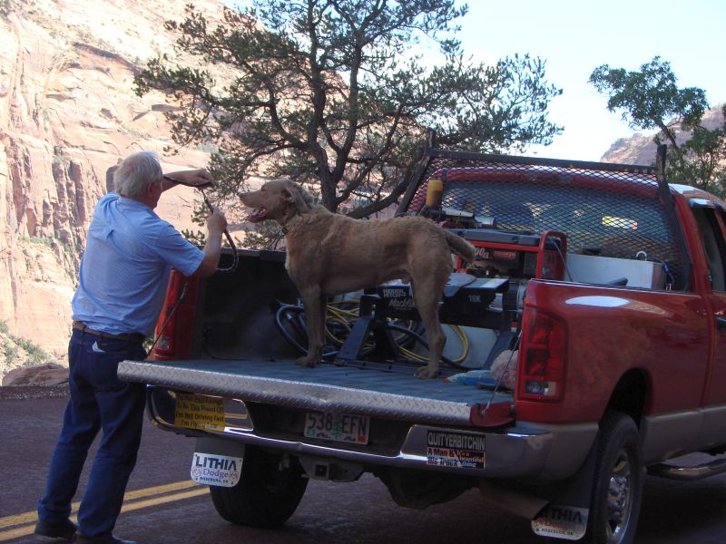 Zion 071dogs.jpg