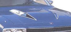 roadrunner hood.jpg