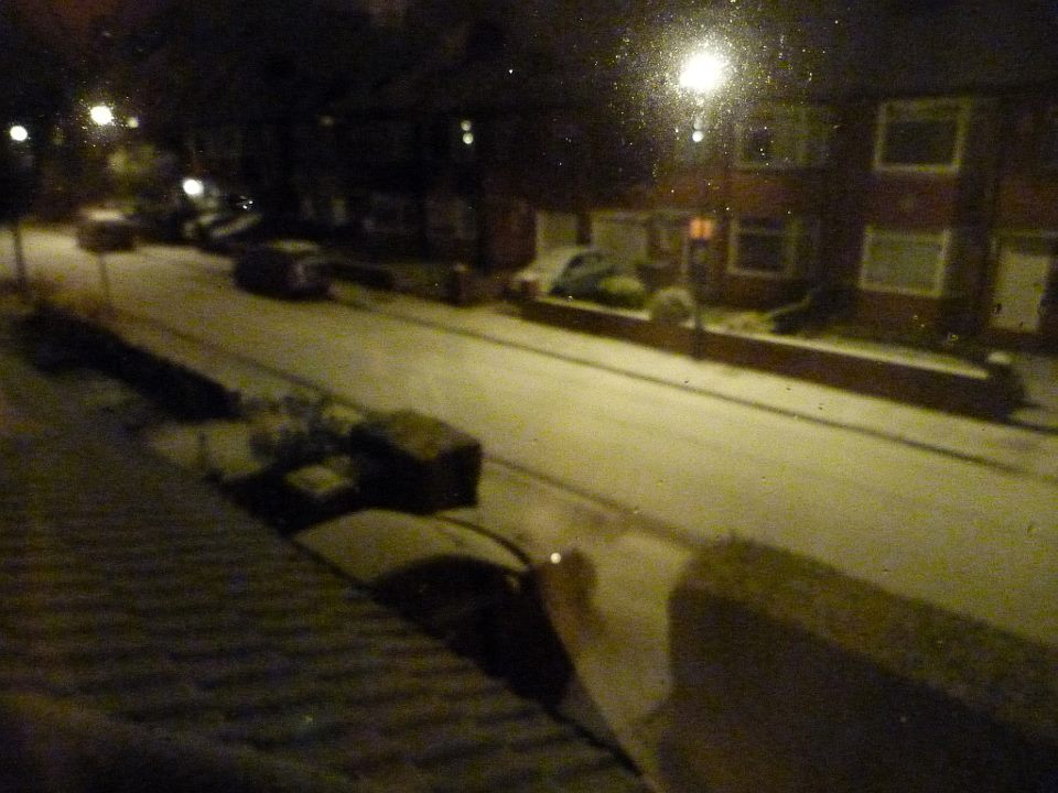 P1020691.jpg