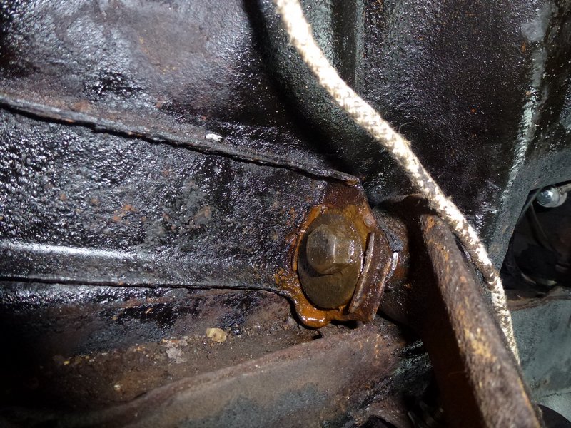 tn_P1010363.JPG