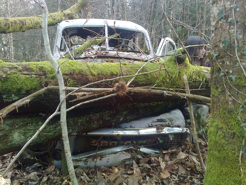 Volvo 3.jpg