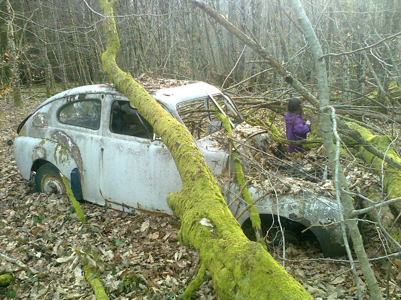 Volvo 1.jpg