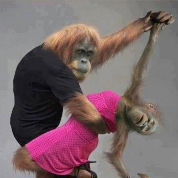 Ade & Ginge.jpg